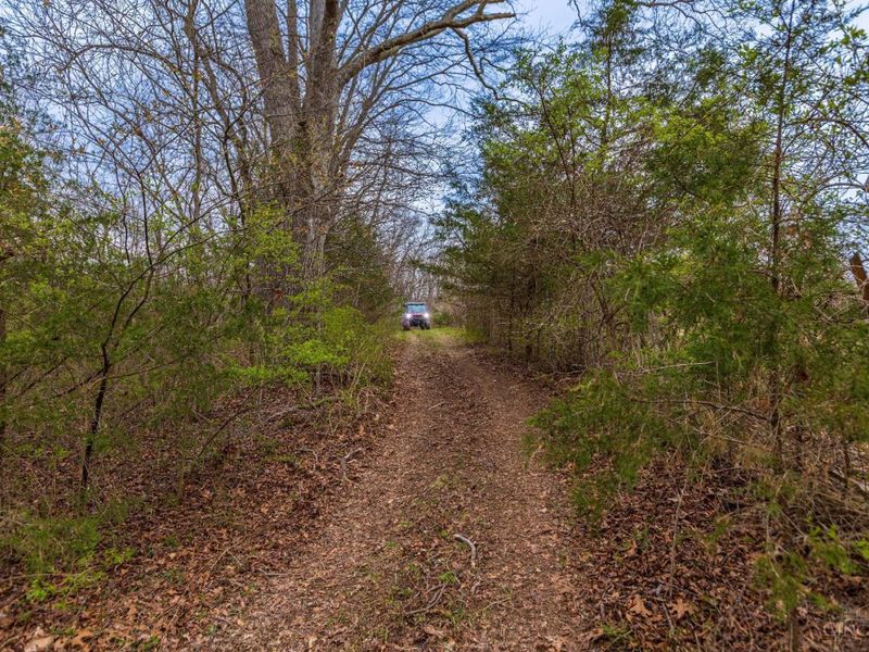 1025 Davis Memorial Road, Peebles, OH 45660 Photo 53