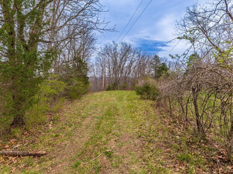 1025 Davis Memorial Road, Peebles, OH 45660 Photo 54