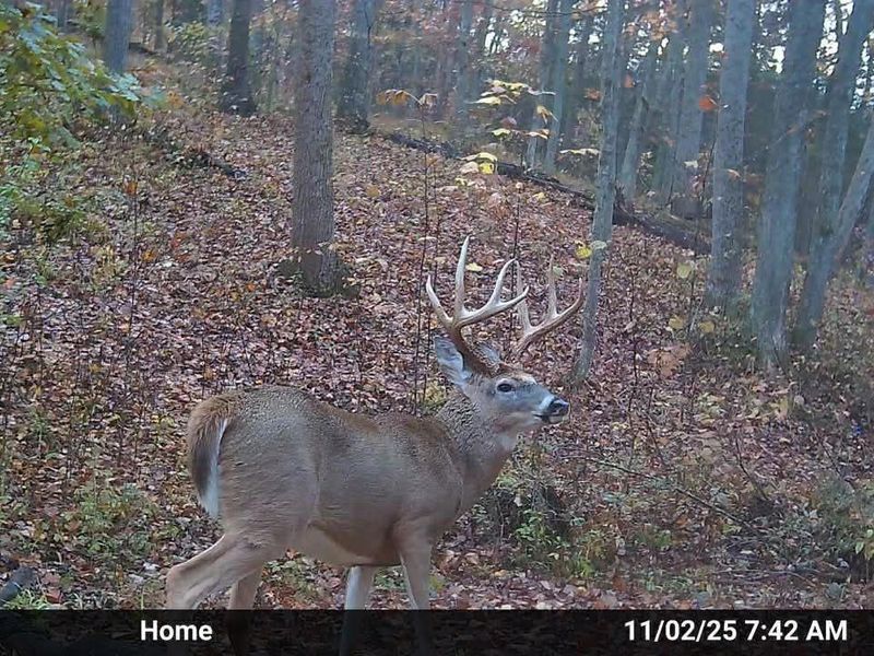 1025 Davis Memorial Road, Peebles, OH 45660 Photo 57