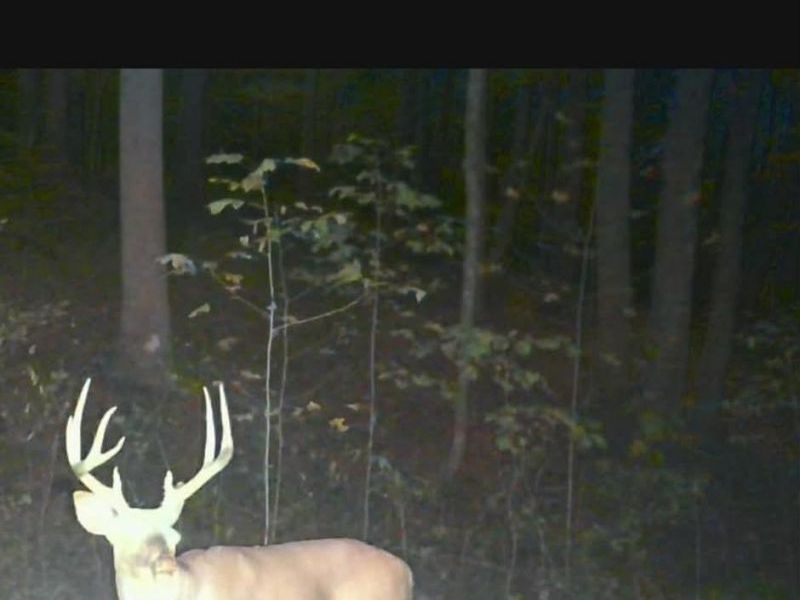 1025 Davis Memorial Road, Peebles, OH 45660 Photo 58