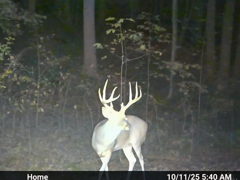 1025 Davis Memorial Road, Peebles, OH 45660 Photo 59