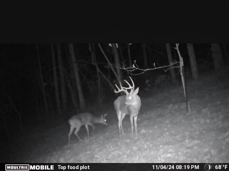 1025 Davis Memorial Road, Peebles, OH 45660 Photo 60