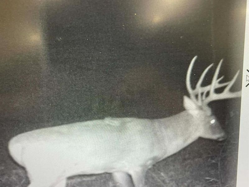 1025 Davis Memorial Road, Peebles, OH 45660 Photo 62