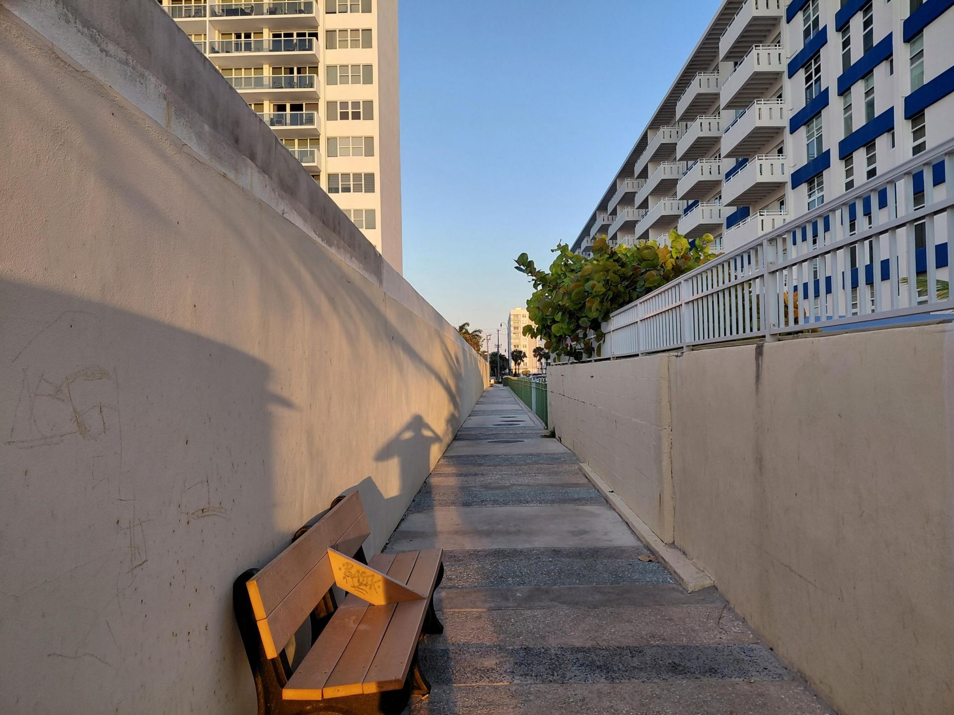 3113 S Ocean Drive, Unit 504, Hallandale Beach, FL 33009 Photo