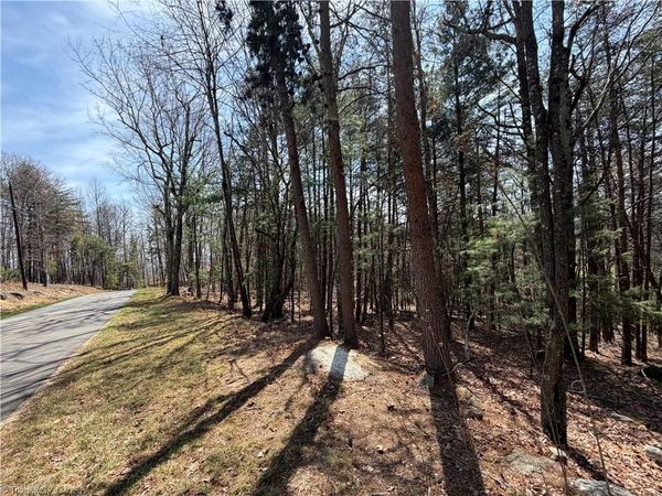 Lot 105 Greenstreet Drive , Traphill, NC 28685