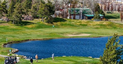 27 Lightning W Ranch Road, Lot #48, Washoe Valley, NV 89704 Photo