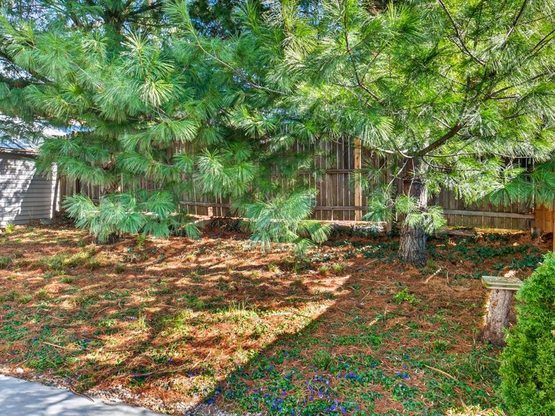 1037 Putnam Street, Newport, KY 41071 Photo 34