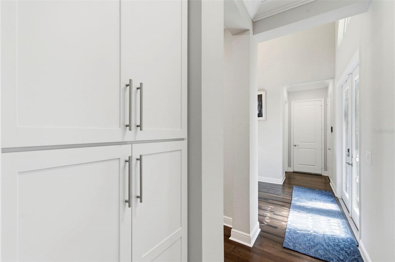 2552 Oakwood Preserve Drive, Wesley Chapel, FL 33543 Photo