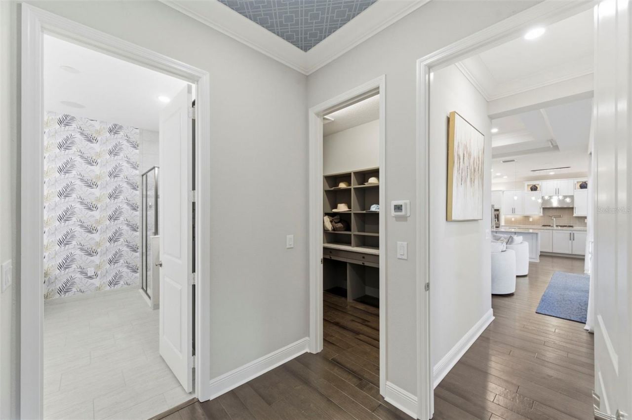 2552 Oakwood Preserve Drive, Wesley Chapel, FL 33543 Photo