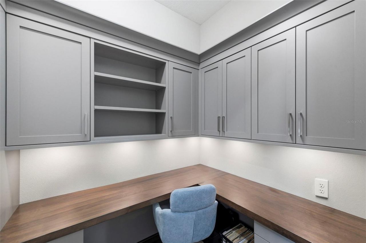 2552 Oakwood Preserve Drive, Wesley Chapel, FL 33543 Photo