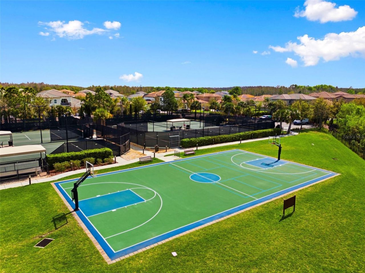 2552 Oakwood Preserve Drive, Wesley Chapel, FL 33543 Photo