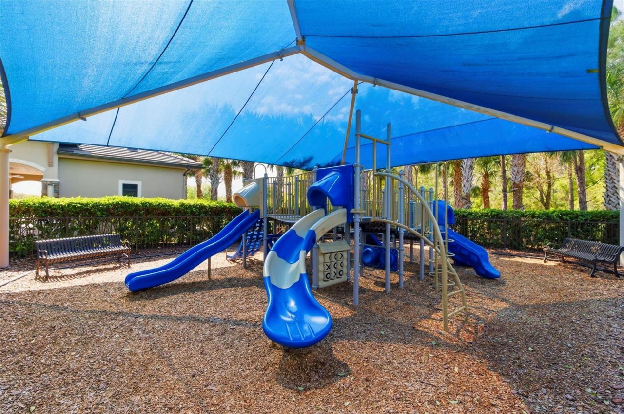 2552 Oakwood Preserve Drive, Wesley Chapel, FL 33543 Photo