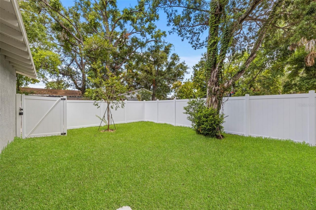 1526 W Arch Street, Tampa, FL 33607 Photo