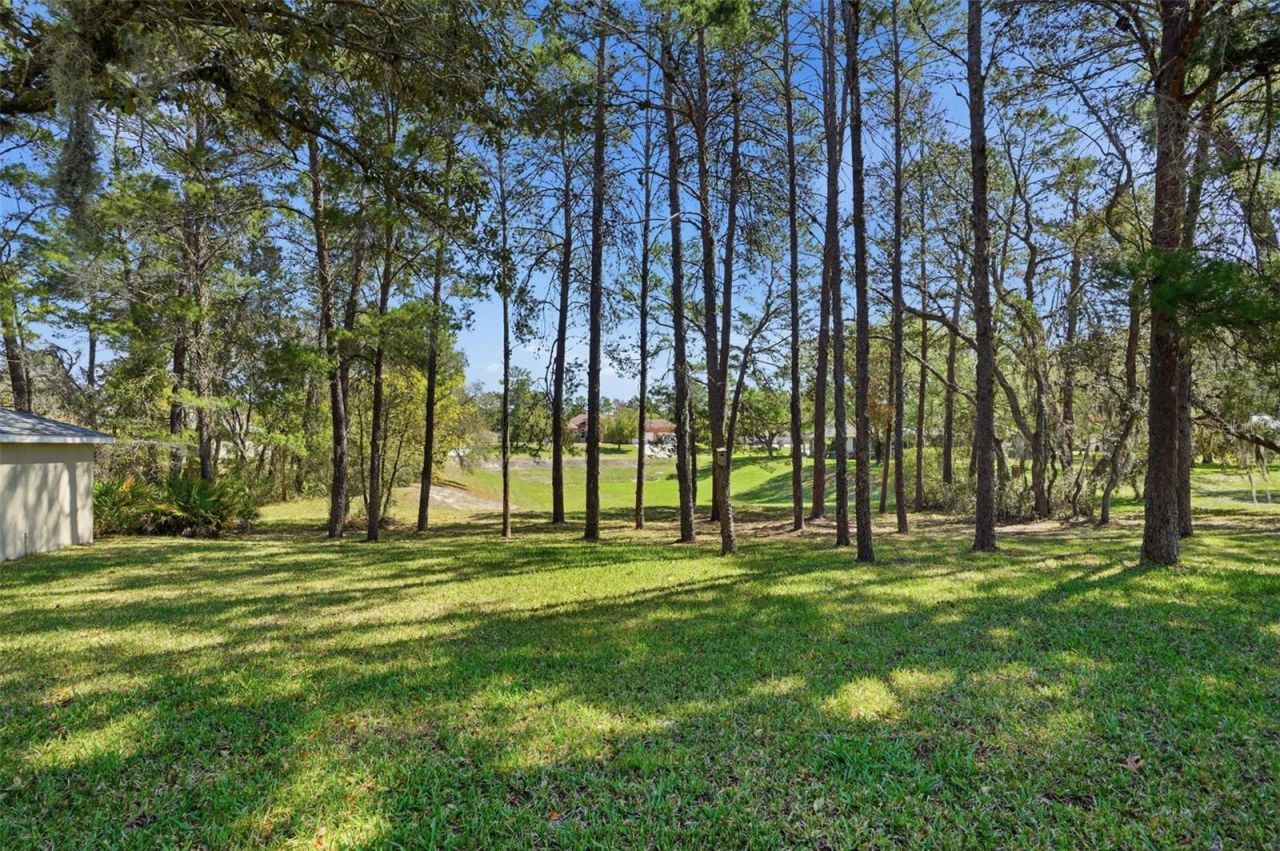 11033 Baywind Court, Weeki Wachee, FL 34613 Photo