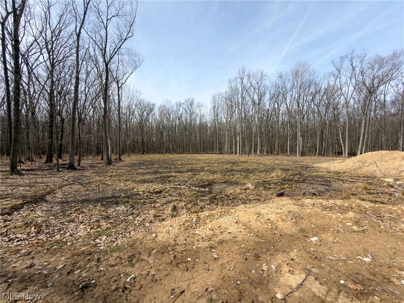 4216 Ridgeview Drive, Vermilion, OH 44089 Photo 2