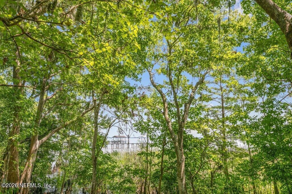 3061 Anderson Road, Green Cove Springs, FL 32043 Photo