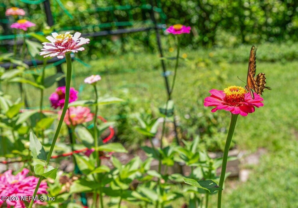 3061 Anderson Road, Green Cove Springs, FL 32043 Photo