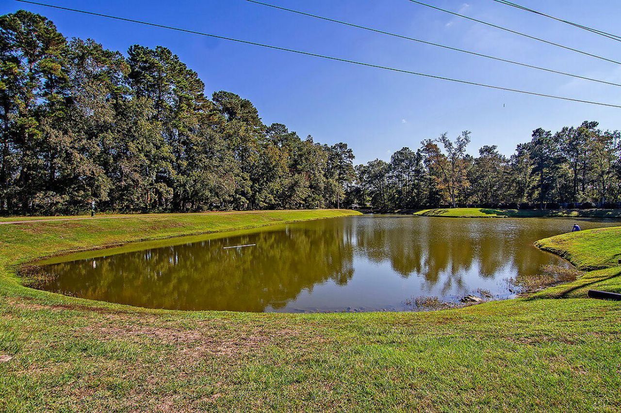 100 Hyacinth Street Photo 44