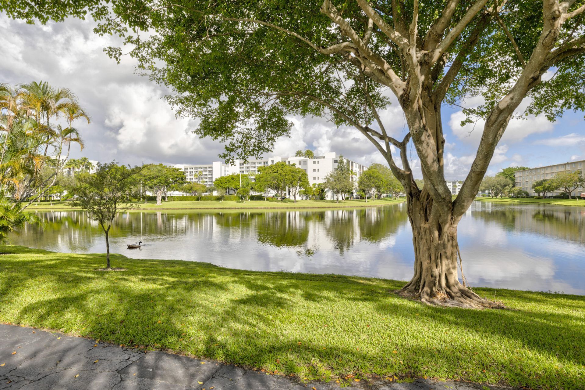 2205 S Cypress Bend Drive, Unit 908, Pompano Beach, FL 33069 Photo