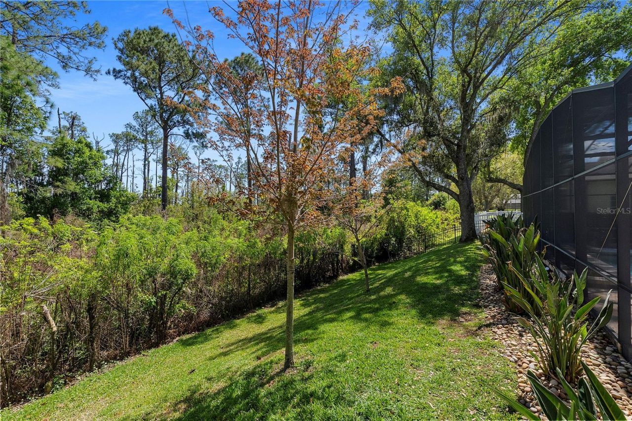 8411 Woburn Court, Windermere, FL 34786 Photo