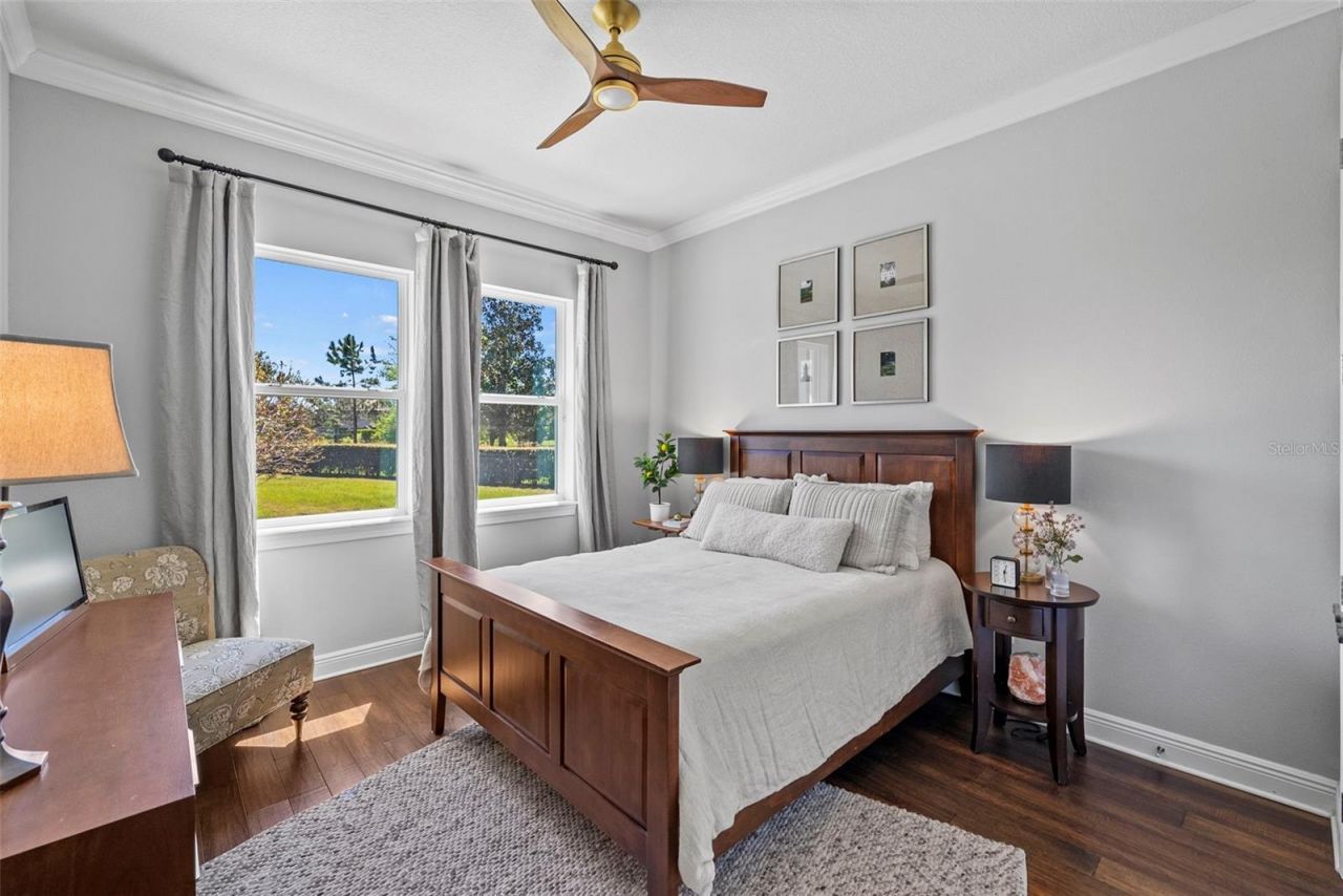 9235 Tillinghast Drive, Tampa, FL 33626 Photo