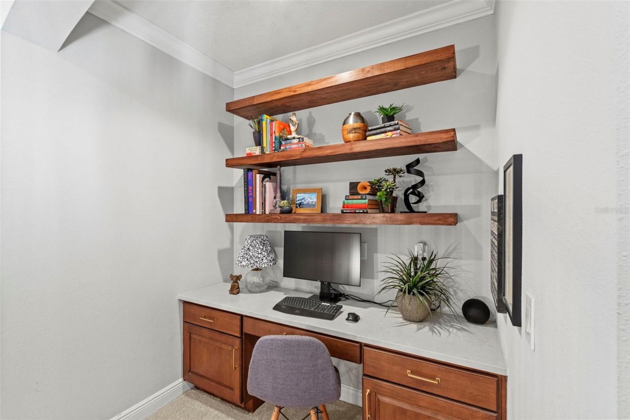 9235 Tillinghast Drive, Tampa, FL 33626 Photo