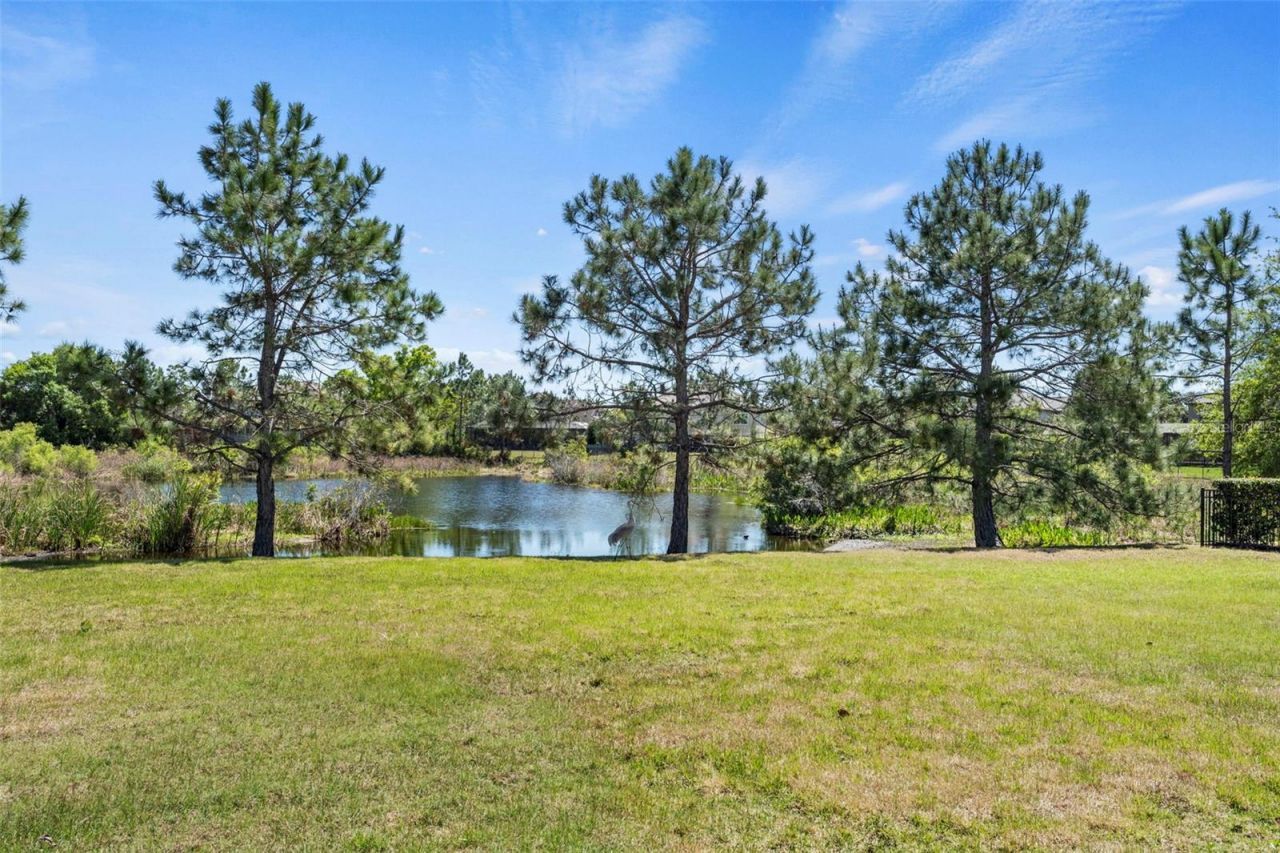 9235 Tillinghast Drive, Tampa, FL 33626 Photo