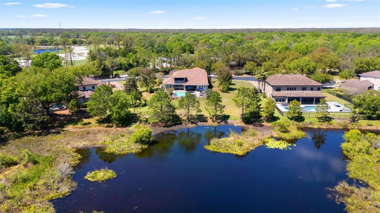 9235 Tillinghast Drive, Tampa, FL 33626 Photo