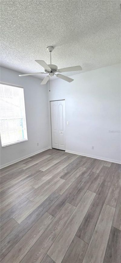 208 Hemingway Drive, Oldsmar, FL 34677 Photo