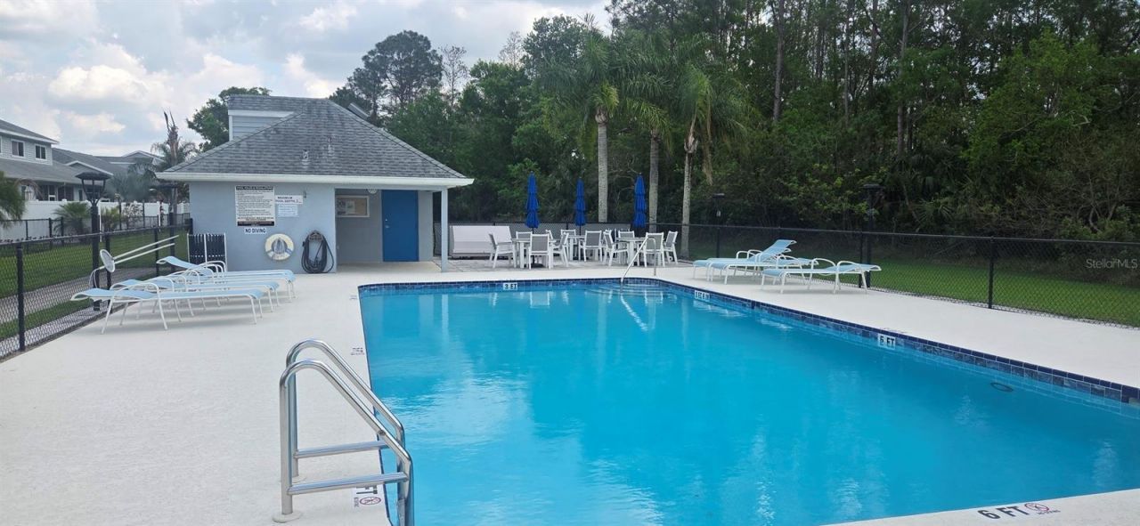 208 Hemingway Drive, Oldsmar, FL 34677 Photo