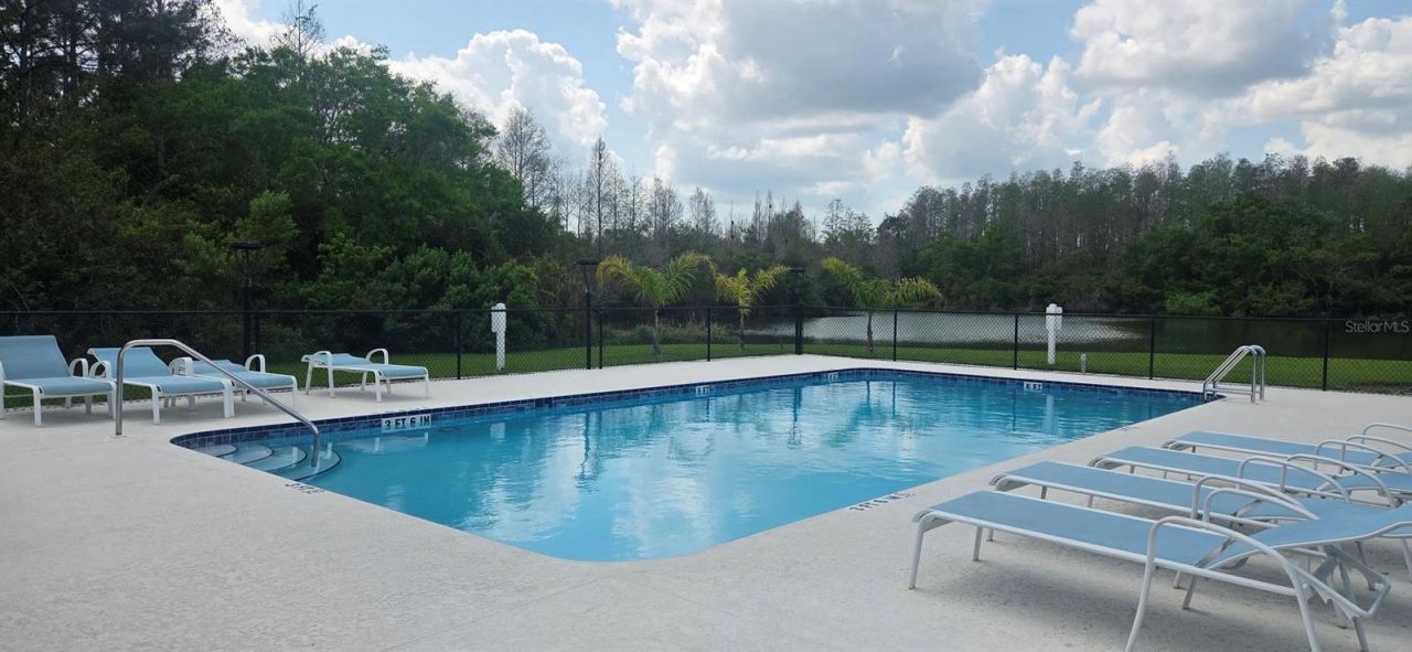 208 Hemingway Drive, Oldsmar, FL 34677 Photo