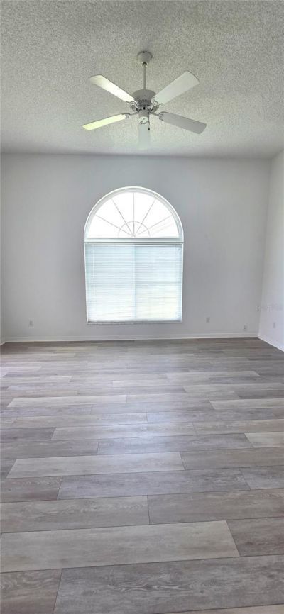 208 Hemingway Drive, Oldsmar, FL 34677 Photo