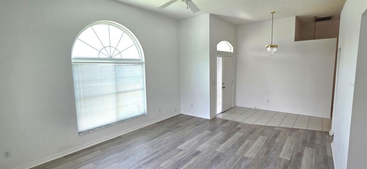 208 Hemingway Drive, Oldsmar, FL 34677 Photo