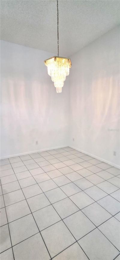 208 Hemingway Drive, Oldsmar, FL 34677 Photo