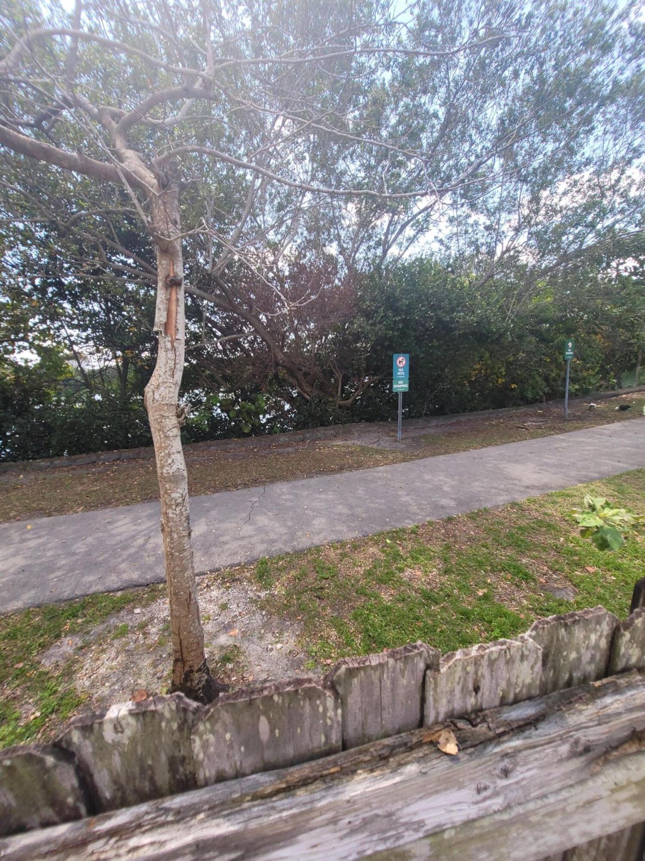 8448 NW 196th Terrace, Hialeah, FL 33015 Photo