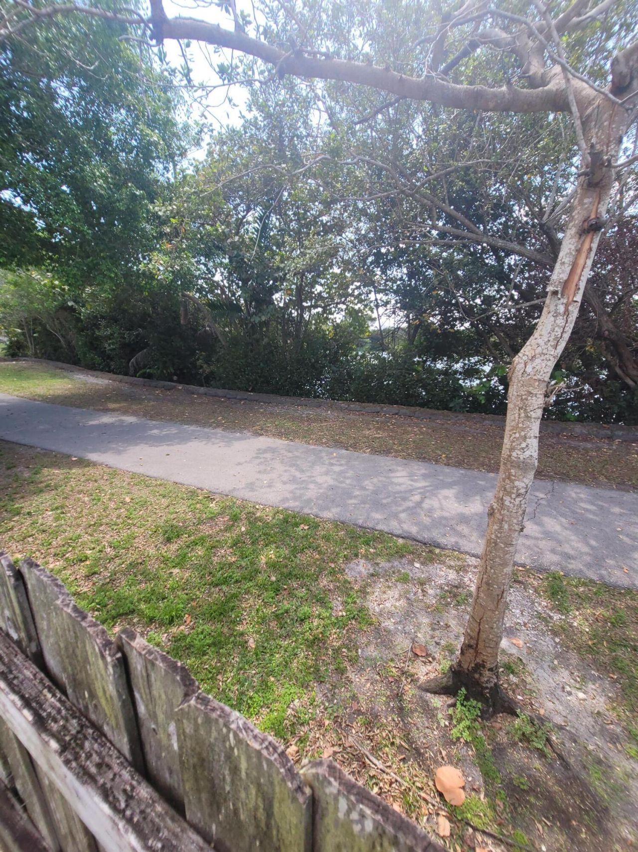 8448 NW 196th Terrace, Hialeah, FL 33015 Photo