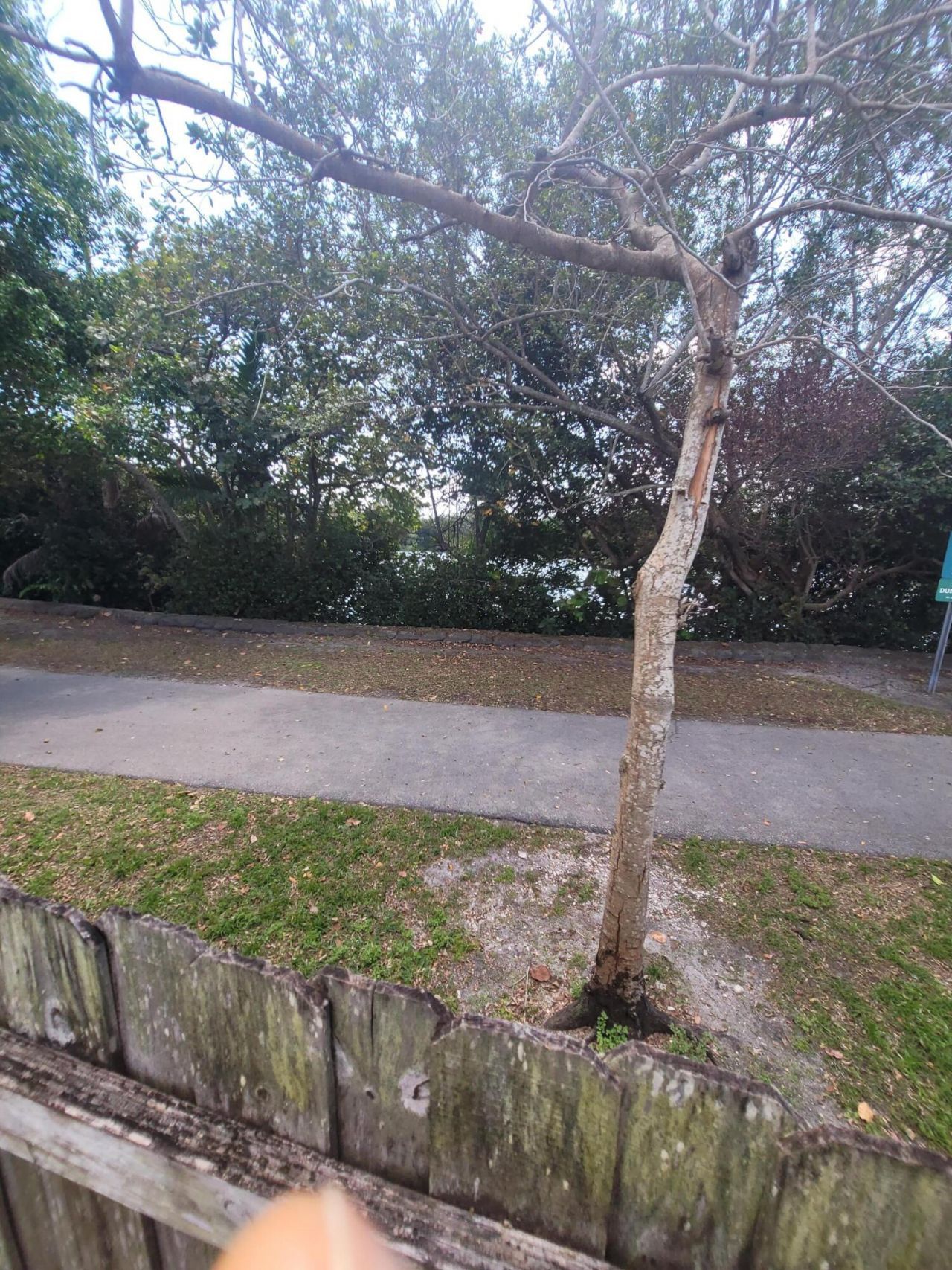 8448 NW 196th Terrace, Hialeah, FL 33015 Photo