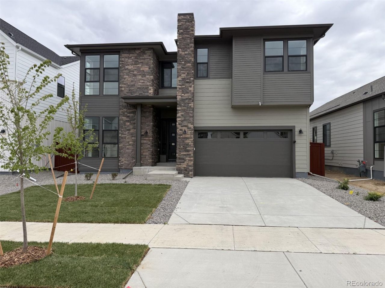1657 Winter Glow Drive, Windsor, CO 80550 Main Photo
