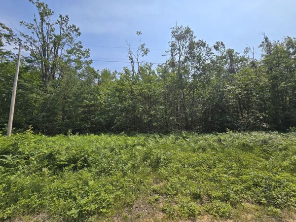 2.51 AC Iroquois Trail, Gaylord, MI 49735