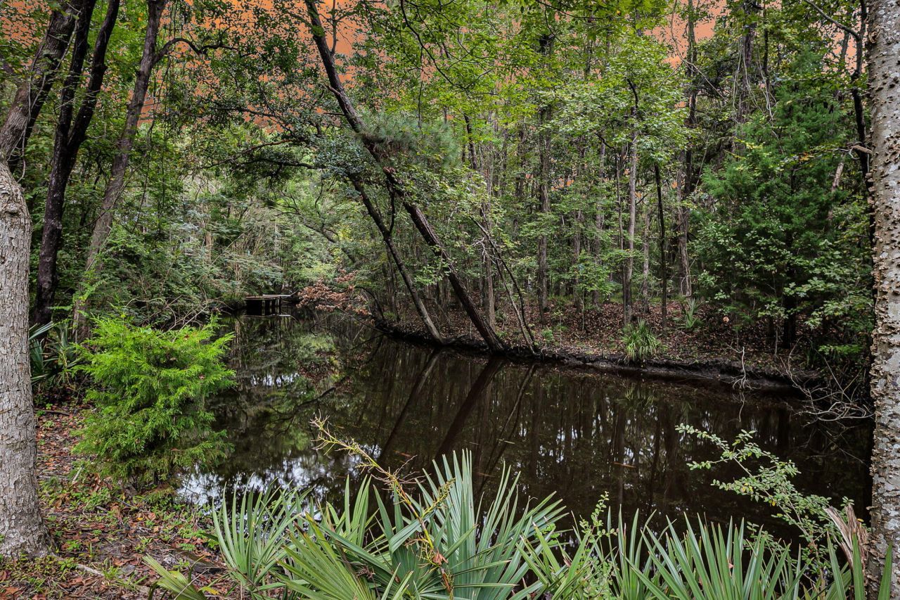 1195 Michelle Lane Photo 51