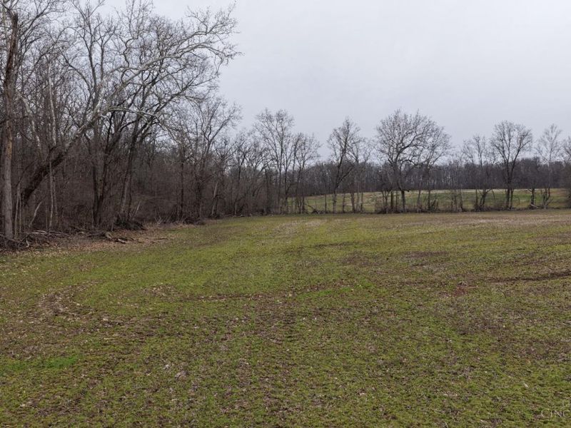 8691 Luck Street, Pleasant Plain, OH 45162 Photo 11