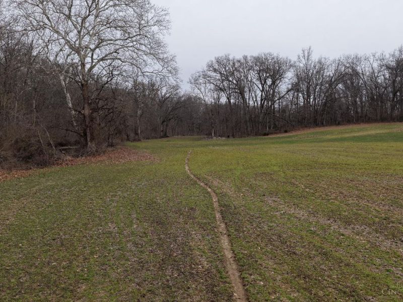 8691 Luck Street, Pleasant Plain, OH 45162 Photo 13