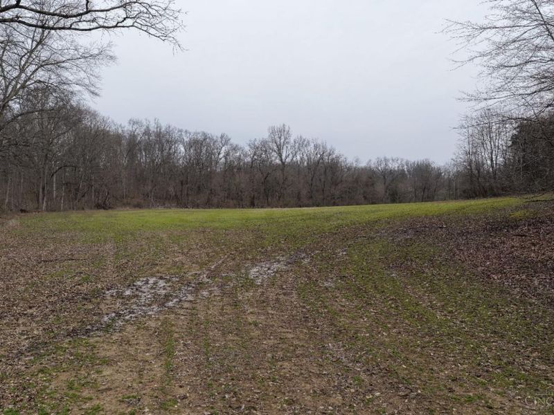 8691 Luck Street, Pleasant Plain, OH 45162 Photo 14