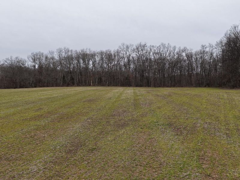 8691 Luck Street, Pleasant Plain, OH 45162 Photo 15