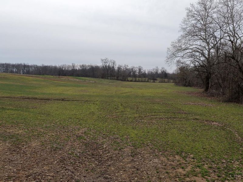 8691 Luck Street, Pleasant Plain, OH 45162 Photo 17