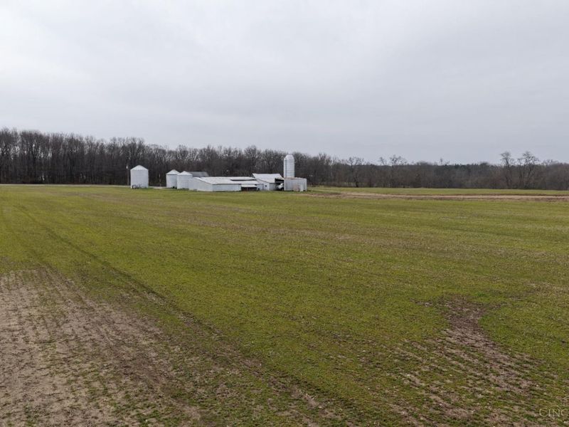 8691 Luck Street, Pleasant Plain, OH 45162 Photo 18