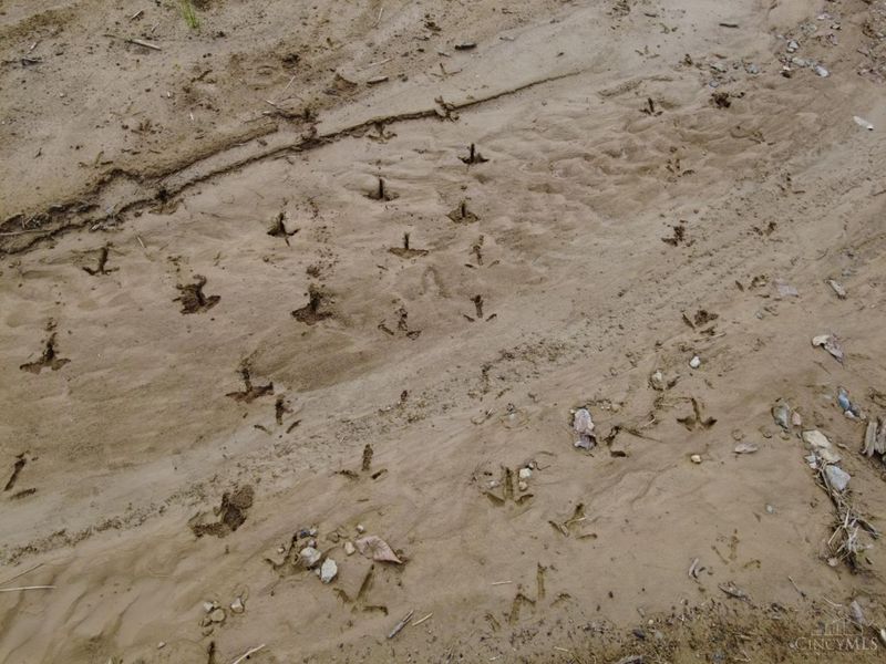 8691 Luck Street, Pleasant Plain, OH 45162 Photo 24