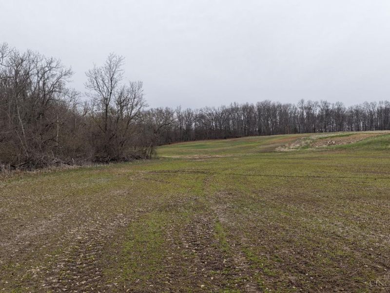 8691 Luck Street, Pleasant Plain, OH 45162 Photo 6