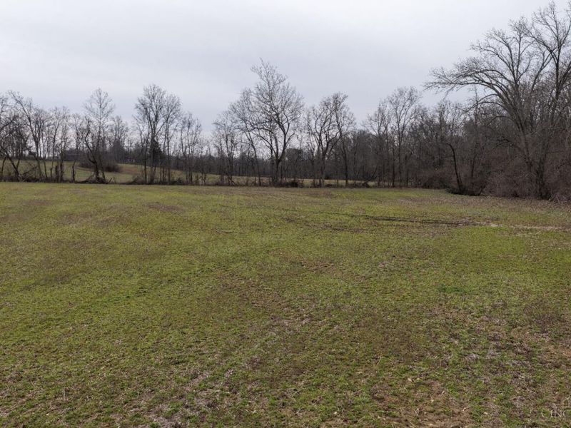 8691 Luck Street, Pleasant Plain, OH 45162 Photo 7