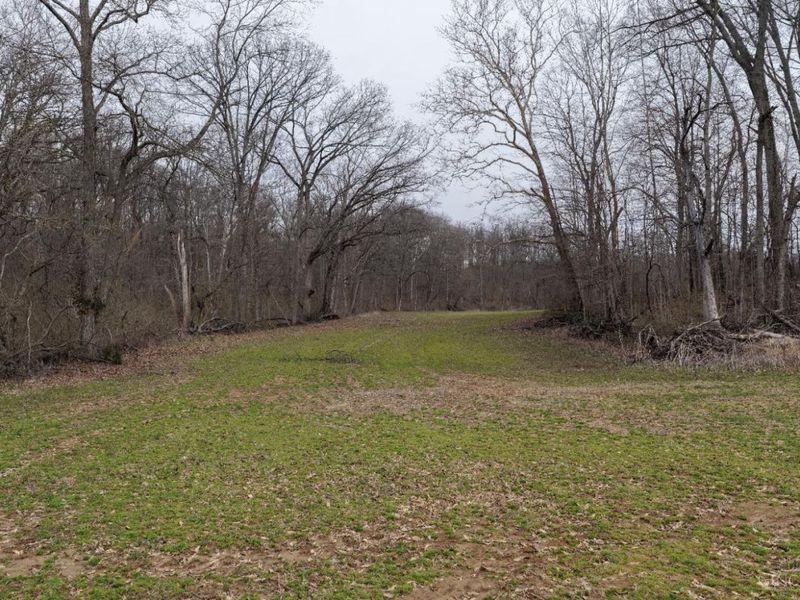 8691 Luck Street, Pleasant Plain, OH 45162 Photo 8